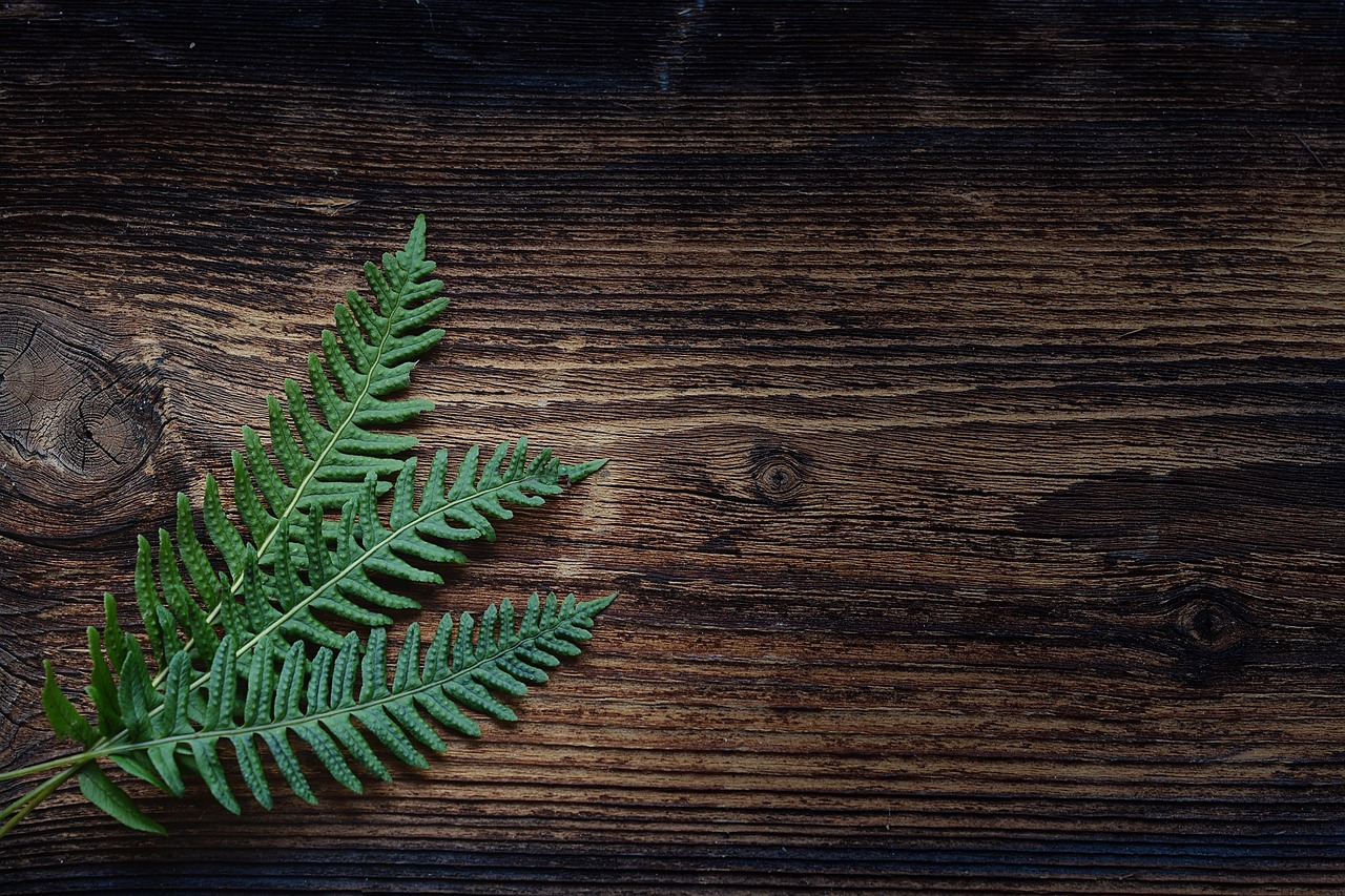 Creëer Elegantie en Warmte met Houten Sierlijsten en Fraai Frake Hout